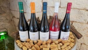 5 Perfect Wine Pairings for Your Next Dinner Party